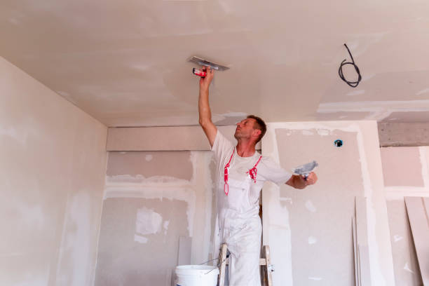 Best Drywall Removal and Disposal  in Runge, TX